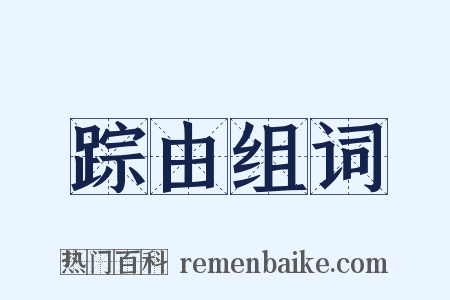 踪由组词是什么意思的图片